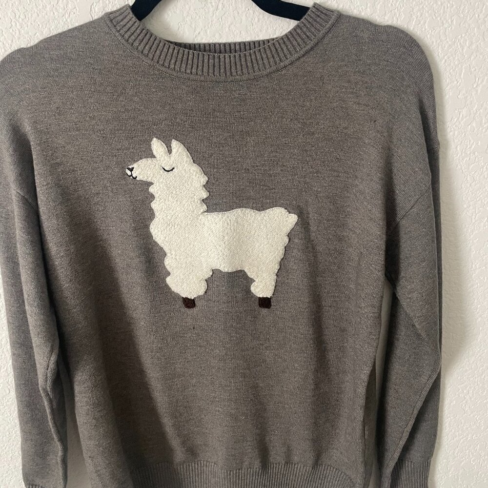 Gabby Isabella Llama Sweater